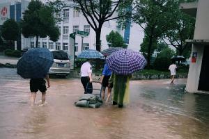 风雨驻守，垒筑新利18全站app
抗洪防守线